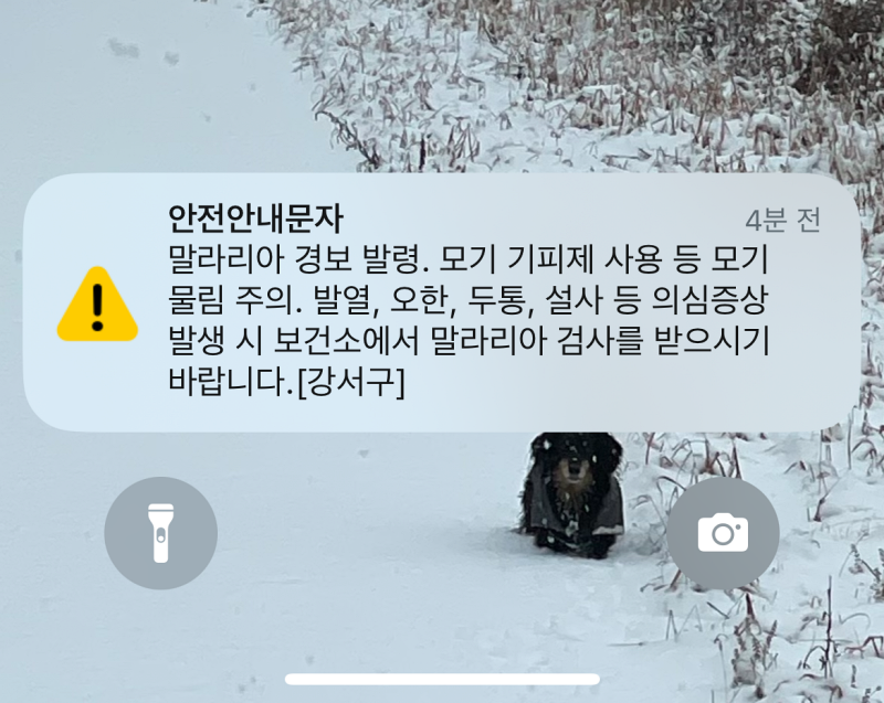 안전안내문자